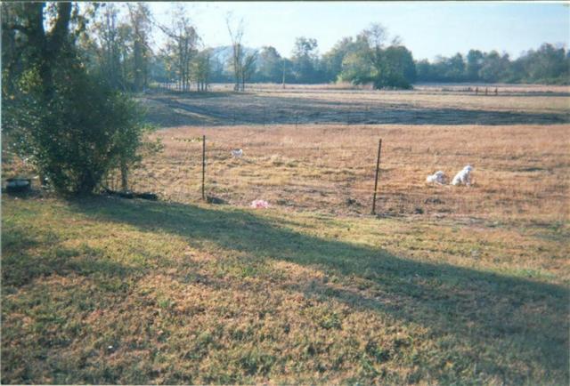560 Tarpley Shop Road Pulaski, TN 38478 - Photo 4 of 4 Gallery Image 4