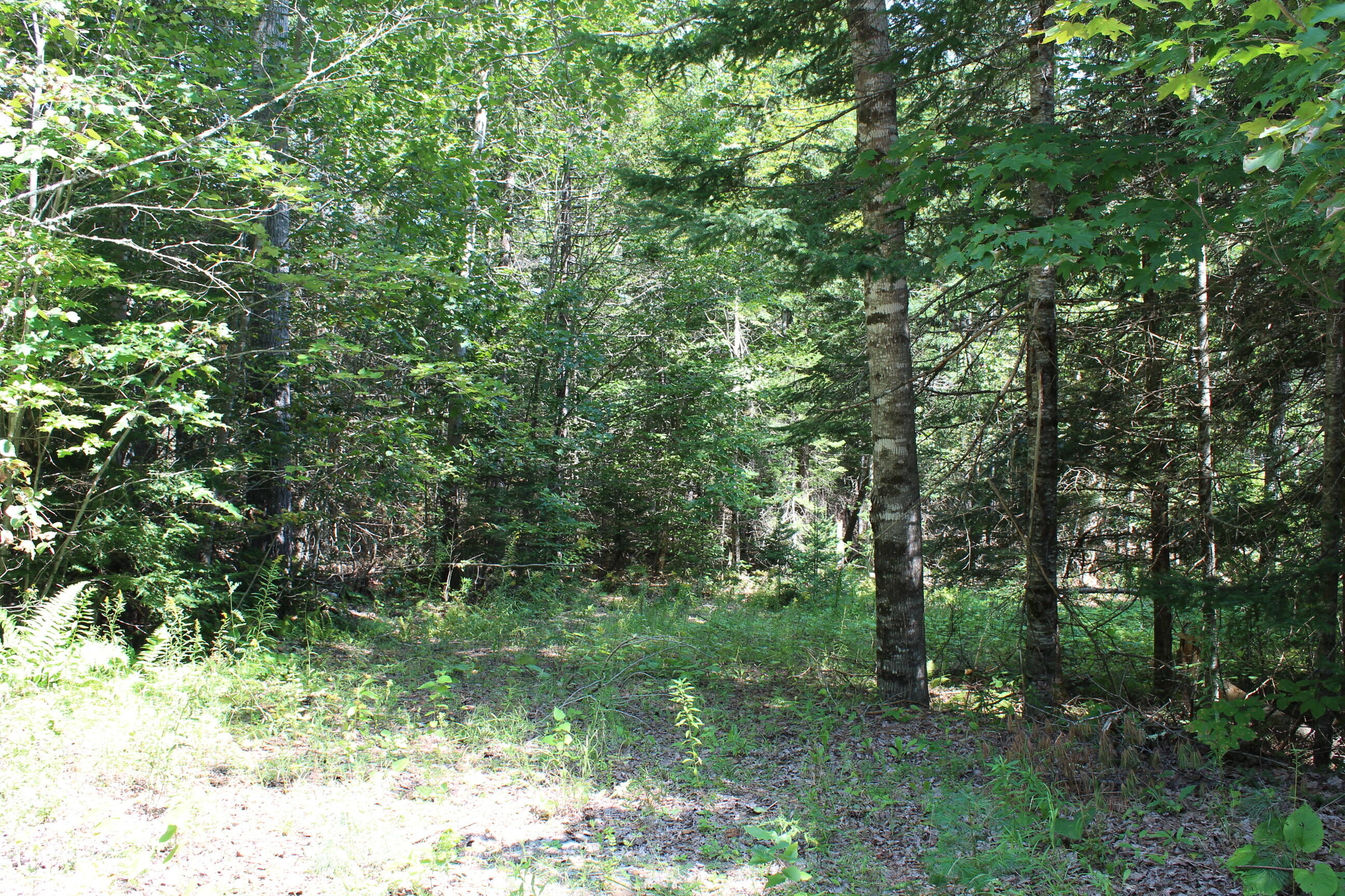 M62-2 Lt 3 M62-2 Road Belfast, ME 04915 - Photo 7 of 15 IMG_1272