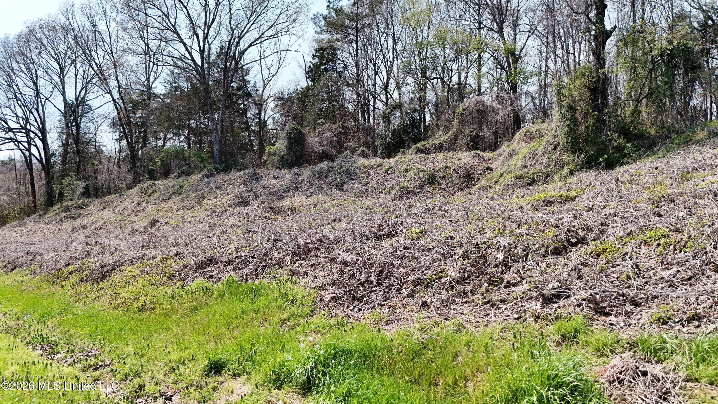 1200 Chulahoma Road Holly Springs, MS 38635 - Photo 35 of 46 DJI_20260321133939_0063_D