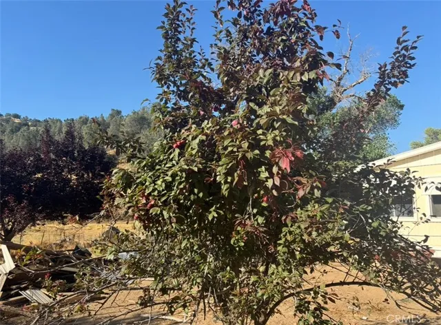 an empty room with wooden floor and closet