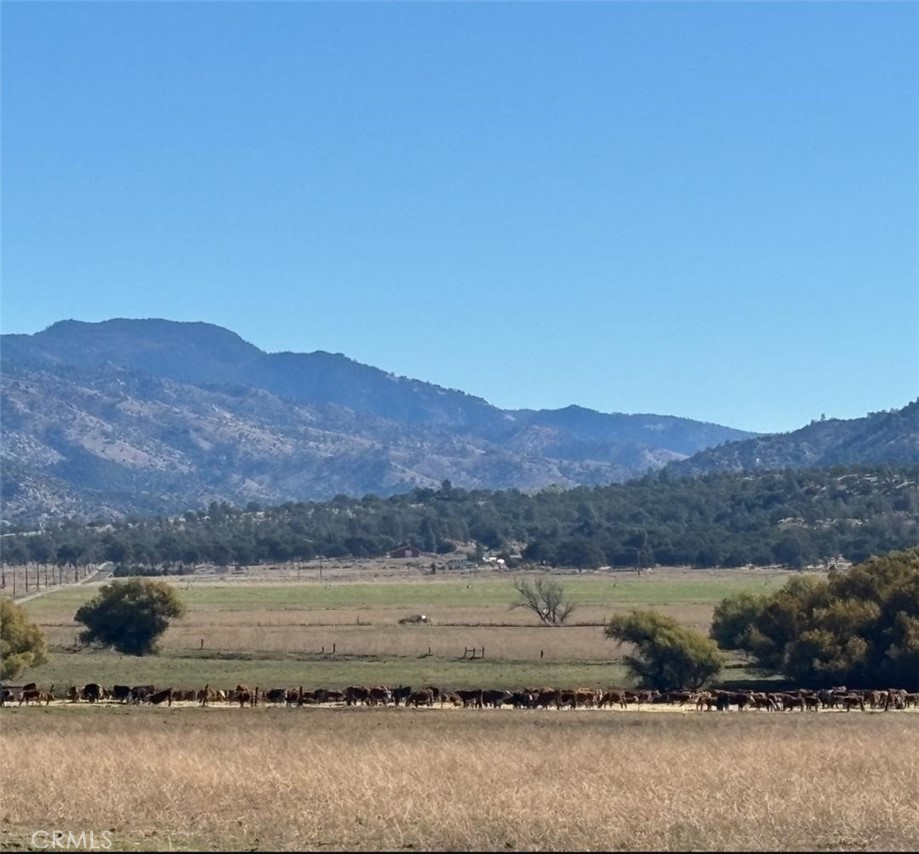 18266 Caliente Creek Road Caliente, CA 93518 - Photo 20 of 38 Cattle and horse ranches around