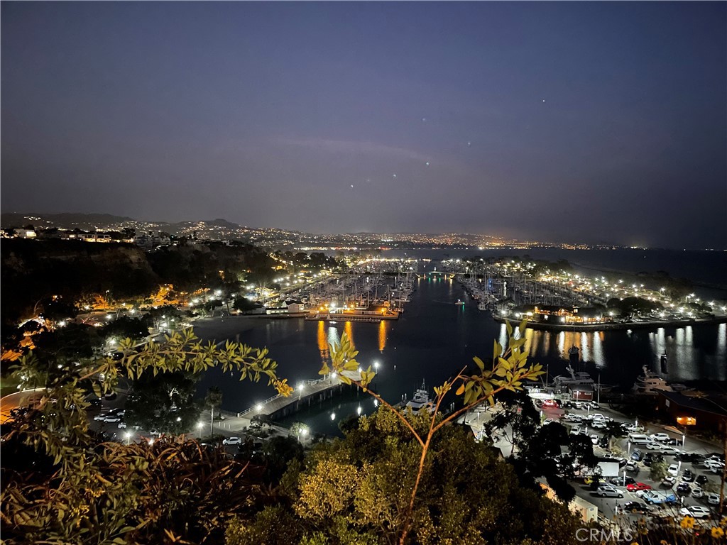 34026 Selva Road, Unit 65 Dana Point, CA 92629 - Photo 21 of 21 a city view