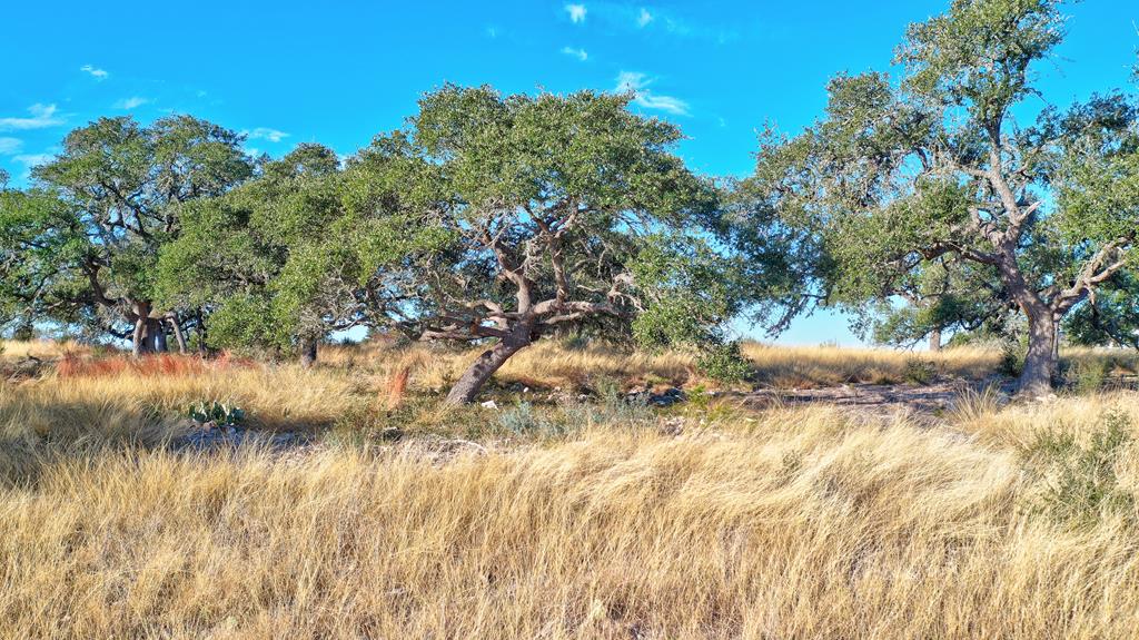 Lot 64 North Walcott Rdg Drive Kerrville, TX 78028 - Photo 19 of 27