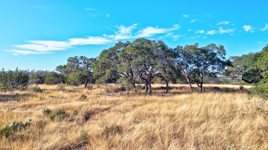 Lot 64 North Walcott Rdg Drive Kerrville, TX 78028 - Photo 20 of 27