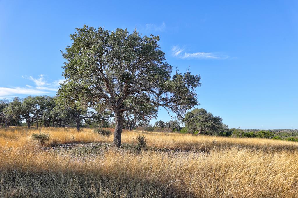 Lot 64 North Walcott Rdg Drive Kerrville, TX 78028 - Photo 3 of 27