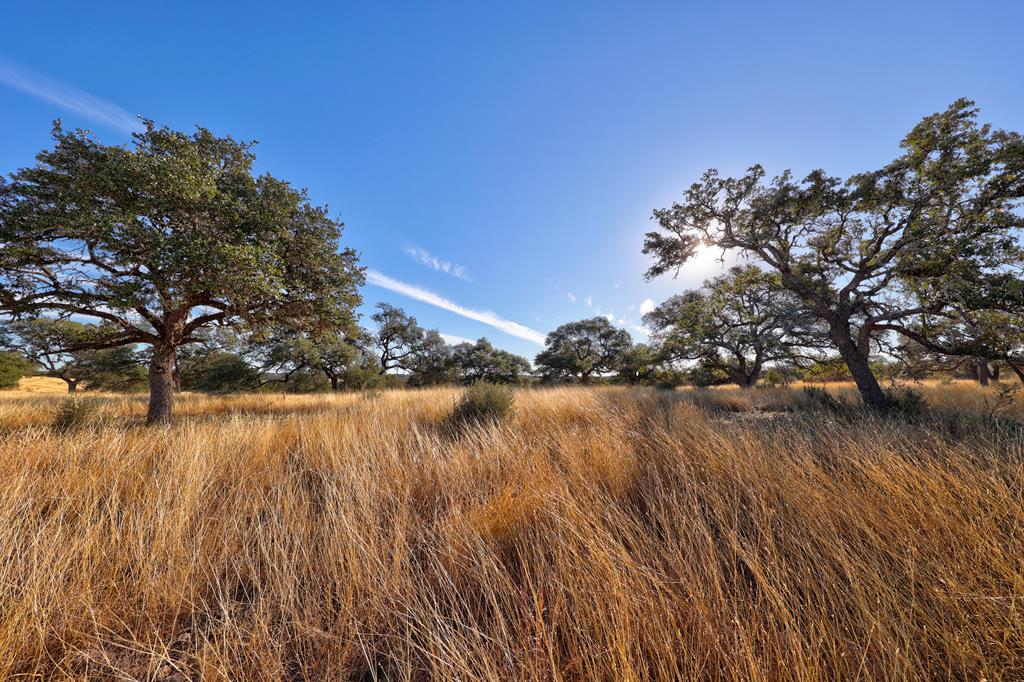 Lot 64 North Walcott Rdg Drive Kerrville, TX 78028 - Photo 5 of 27