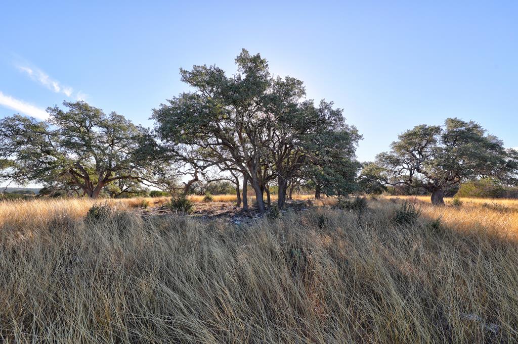 Lot 64 North Walcott Rdg Drive Kerrville, TX 78028 - Photo 6 of 27