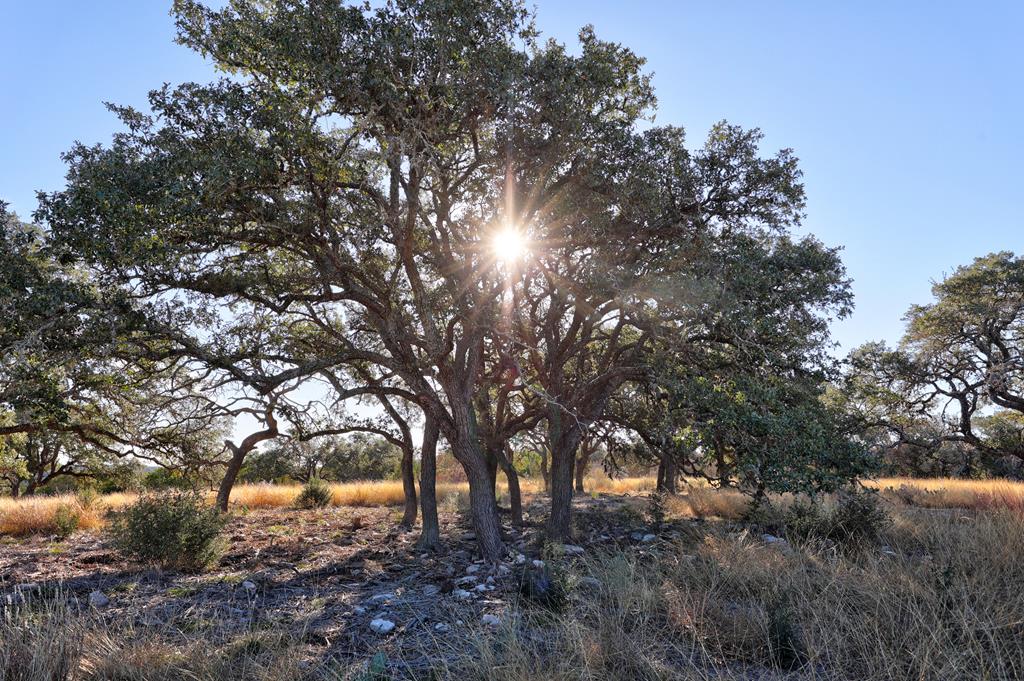 Lot 64 North Walcott Rdg Drive Kerrville, TX 78028 - Photo 7 of 27