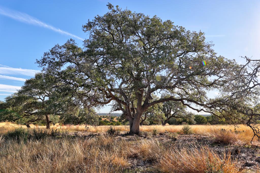 Lot 64 North Walcott Rdg Drive Kerrville, TX 78028 - Photo 8 of 27
