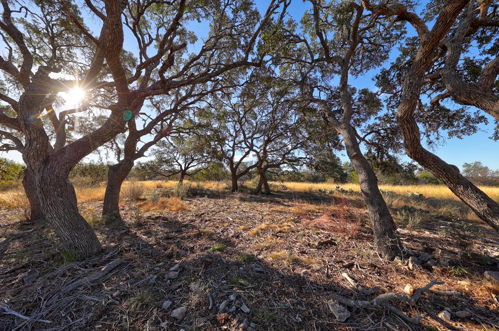 Lot 64 North Walcott Rdg Drive Kerrville, TX 78028 - Photo 9 of 27