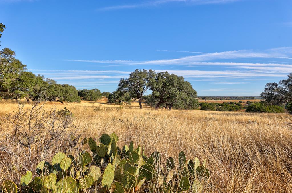 Lot 64 North Walcott Rdg Drive Kerrville, TX 78028 - Photo 10 of 27