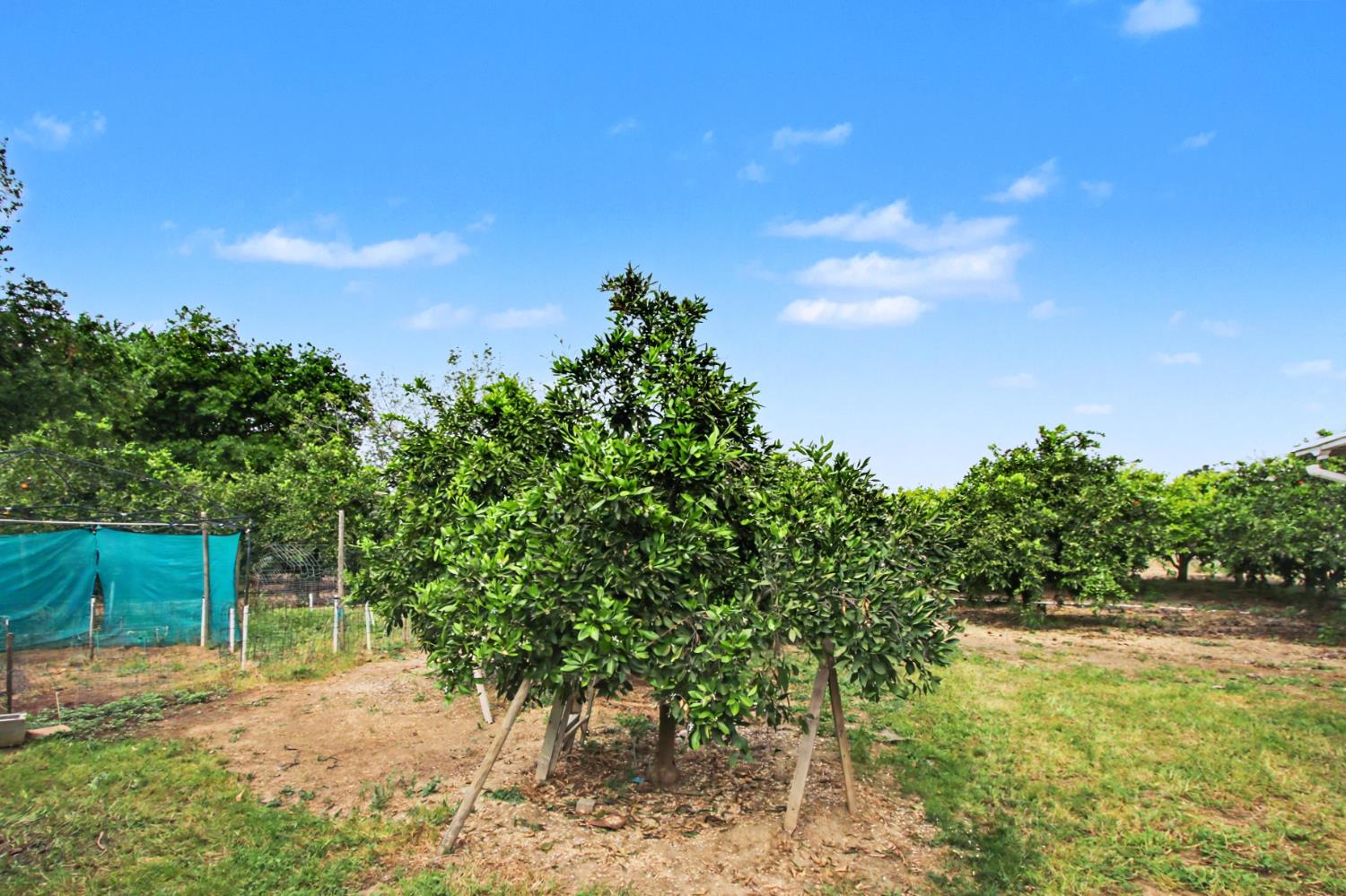 8066 Larkin Road Live Oak, CA 95953 - Photo 25 of 39