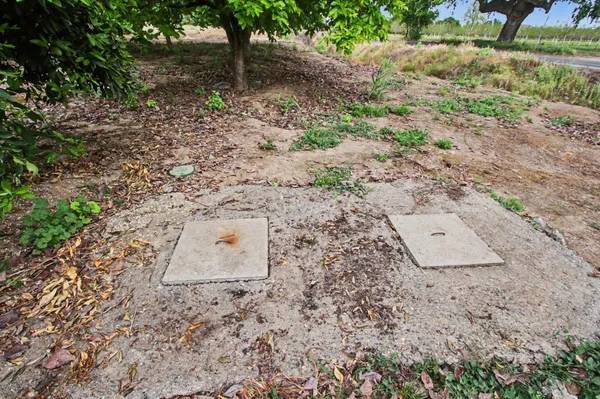 a view of a dry yard