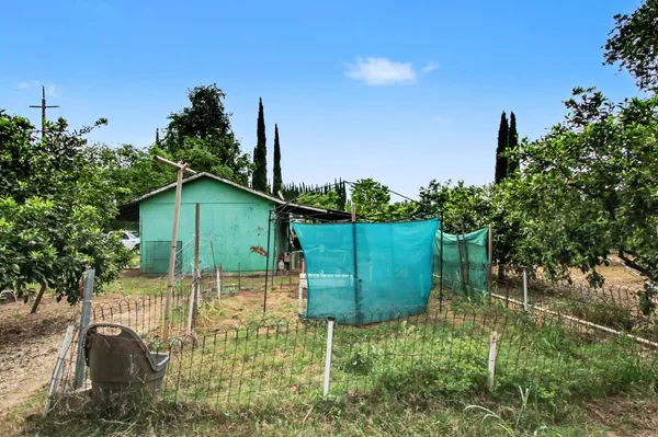 a green field with some trees in the background