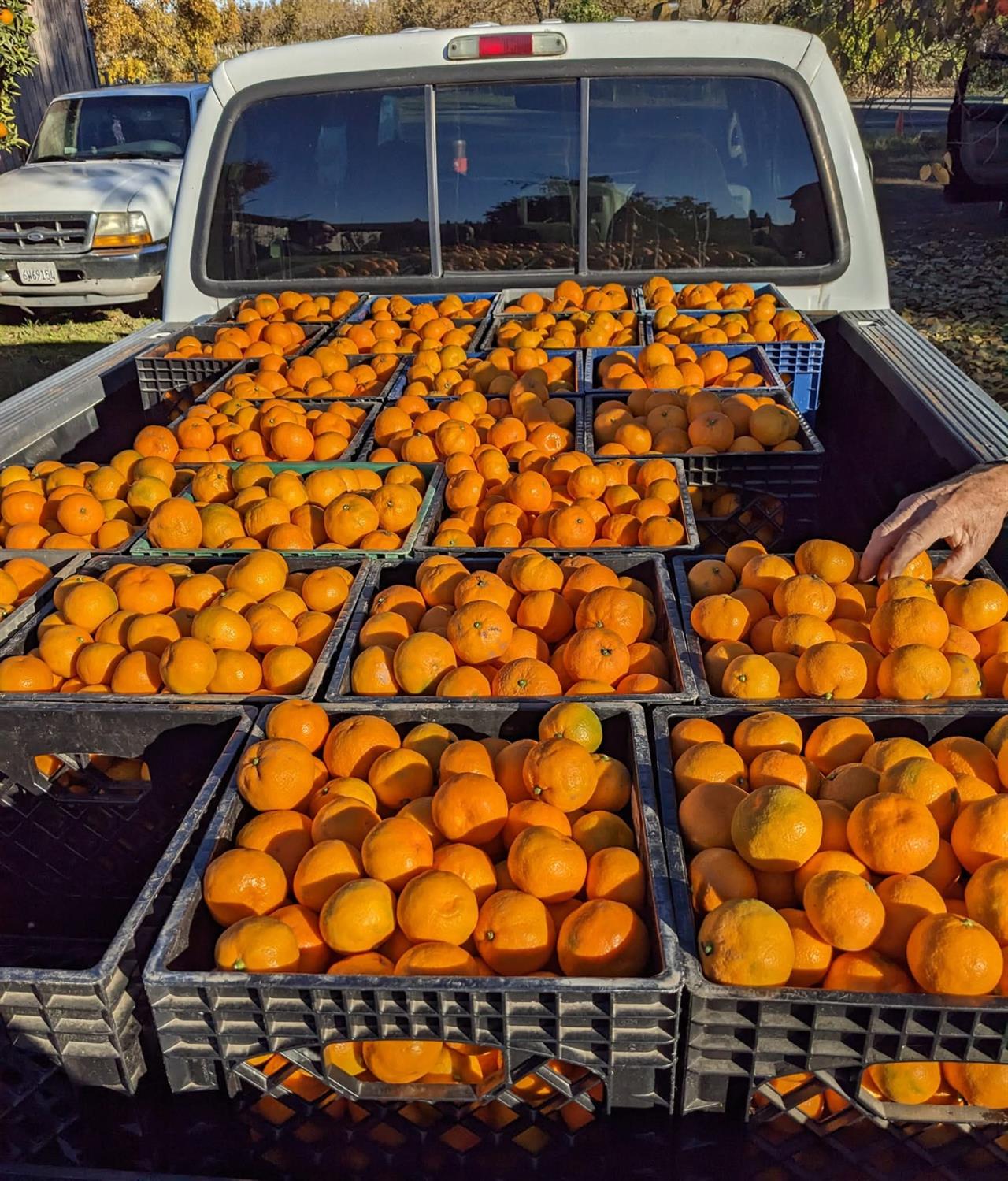 8066 Larkin Road Live Oak, CA 95953 - Photo 37 of 39