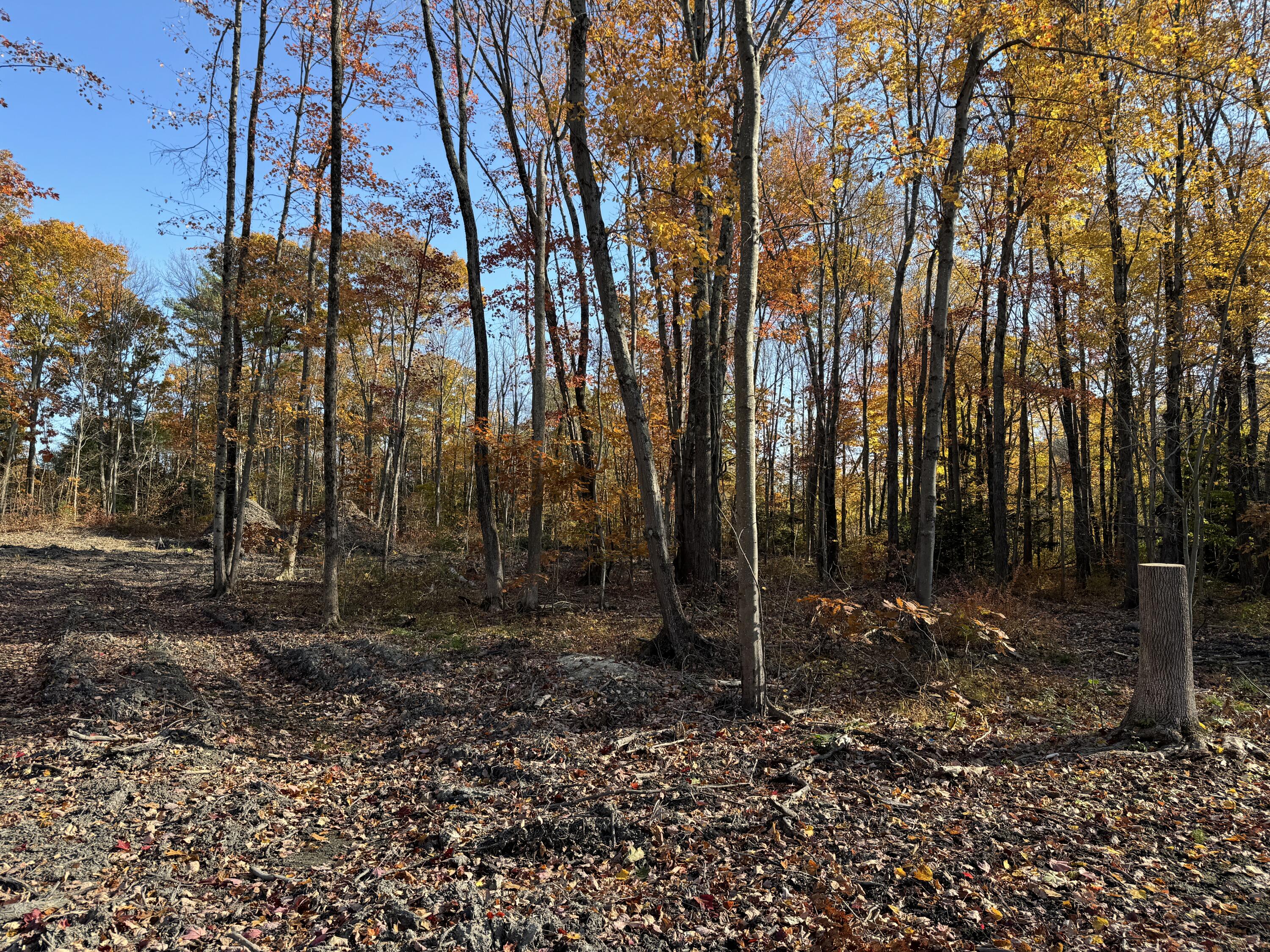 Lot# A & B Lot Road Biddeford, ME 04005 - Photo 4 of 5 4