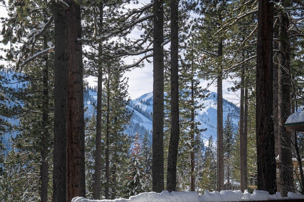 1499 Sandy Way Olympic Valley, CA 96146 - Photo 8 of 28