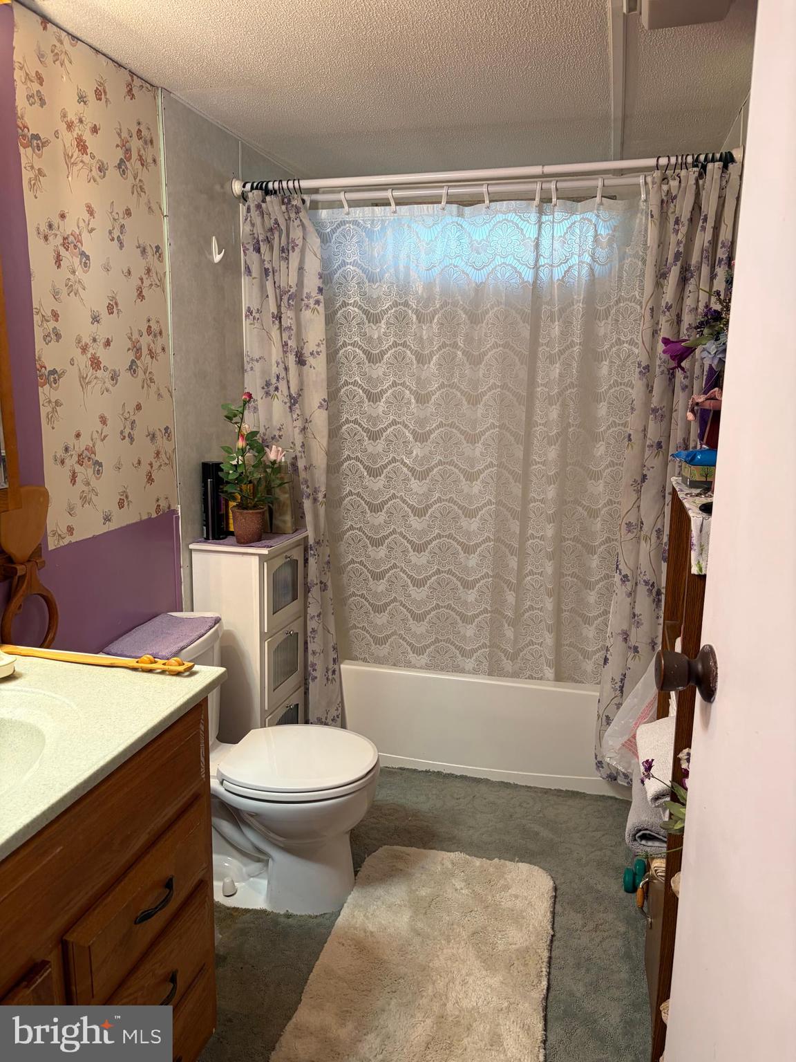 1614 Alfarata Road McClure, PA 17841 - Photo 11 of 29 a bathroom with a toilet a sink and bathtub