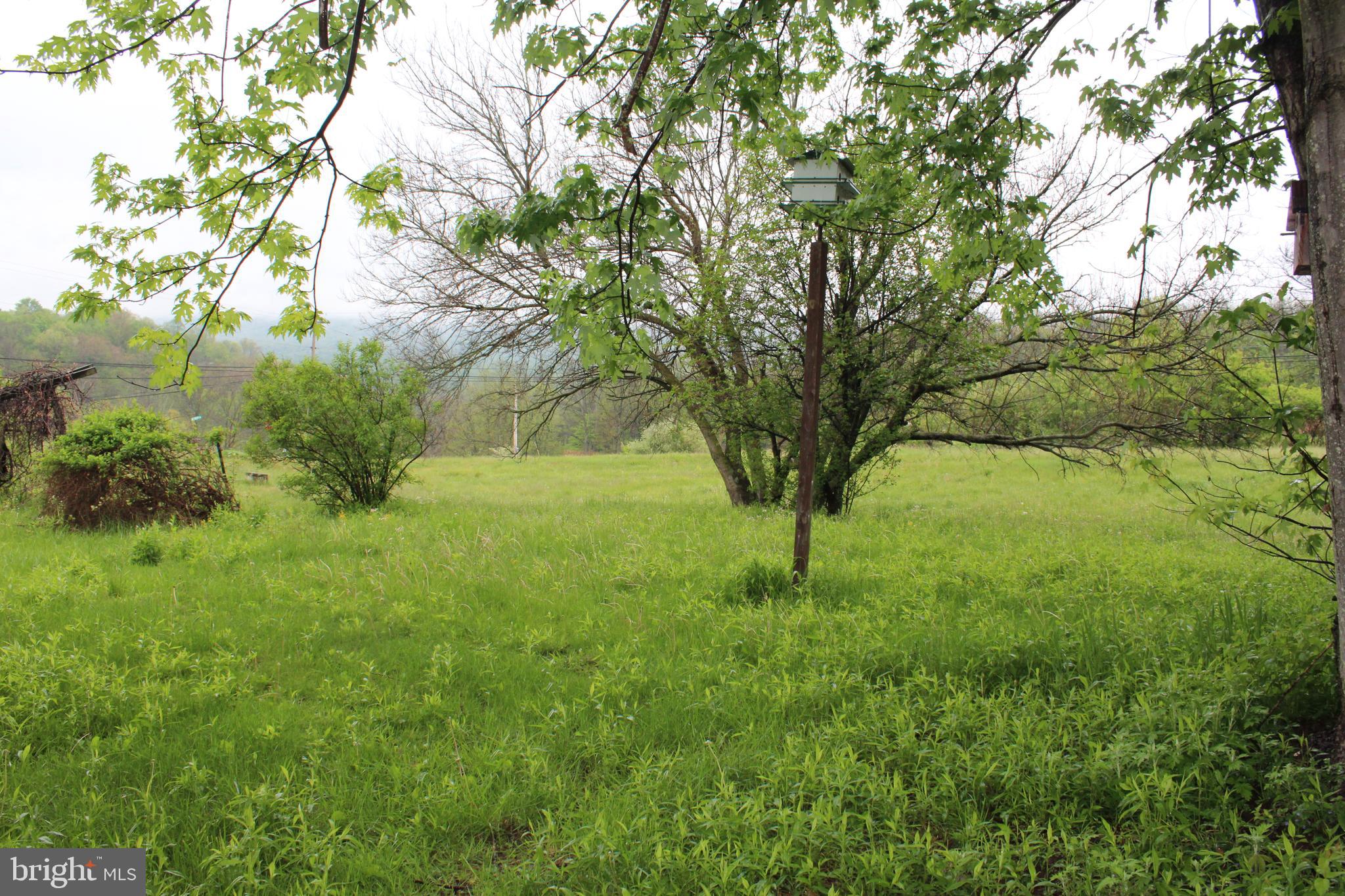 1614 Alfarata Road McClure, PA 17841 - Photo 19 of 29 a view of backyard with green space