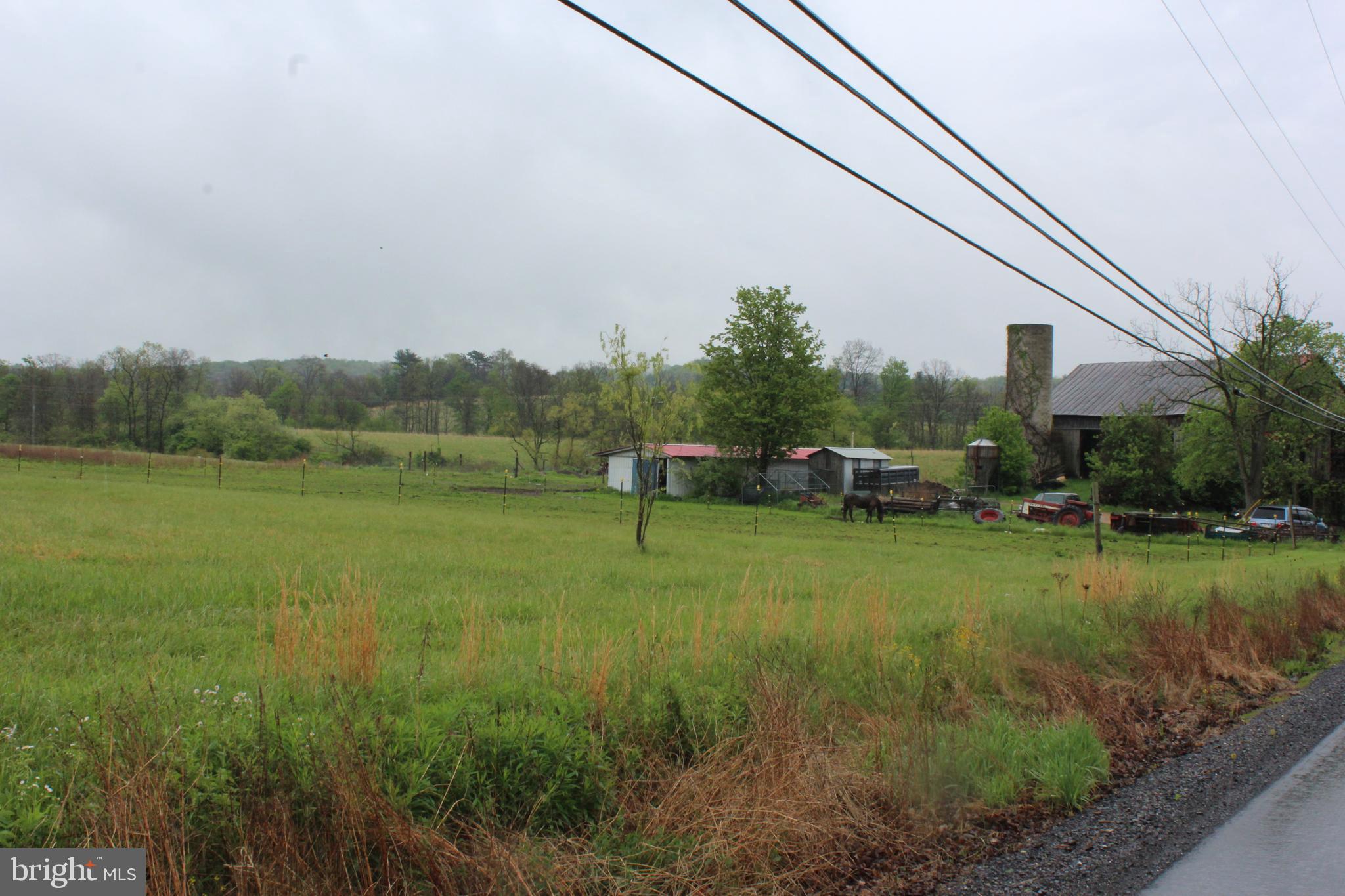 1614 Alfarata Road McClure, PA 17841 - Photo 23 of 29 a garden with trees in the background