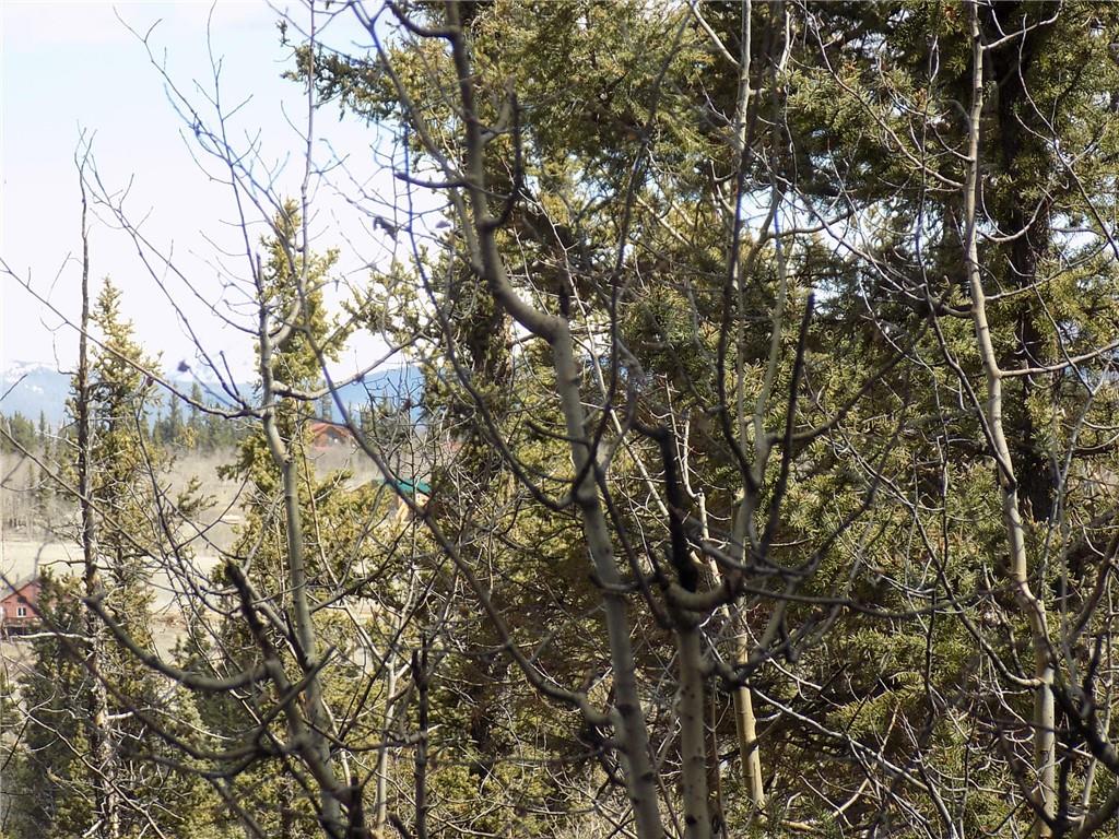 50 Nez Perce Road Como, CO 80456 - Photo 2 of 24 Gallery Image 2