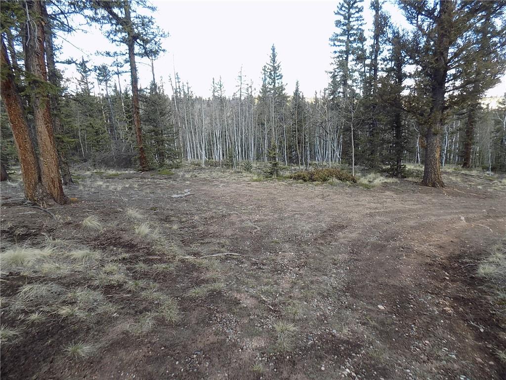 50 Nez Perce Road Como, CO 80456 - Photo 11 of 24 Gallery Image 11