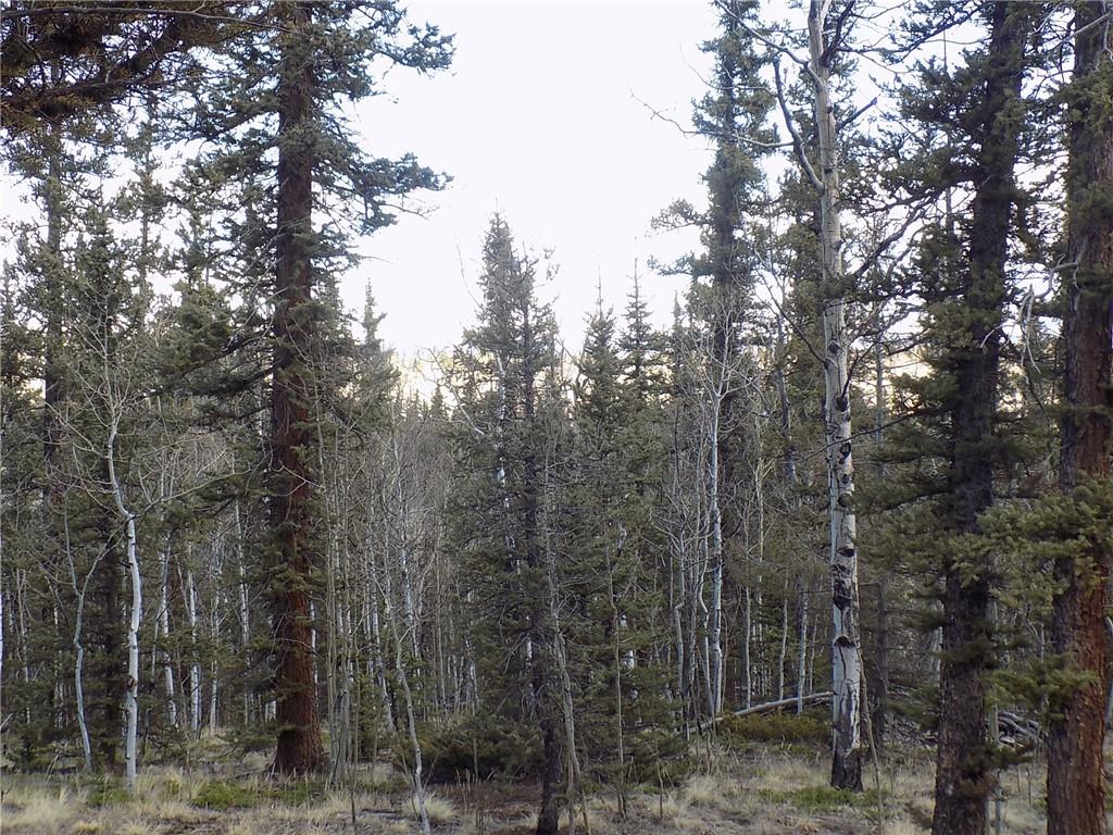 50 Nez Perce Road Como, CO 80456 - Photo 13 of 24 Gallery Image 13