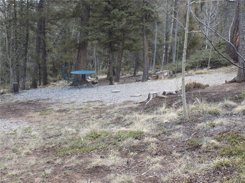 50 Nez Perce Road Como, CO 80456 - Photo 14 of 24 Gallery Image 14