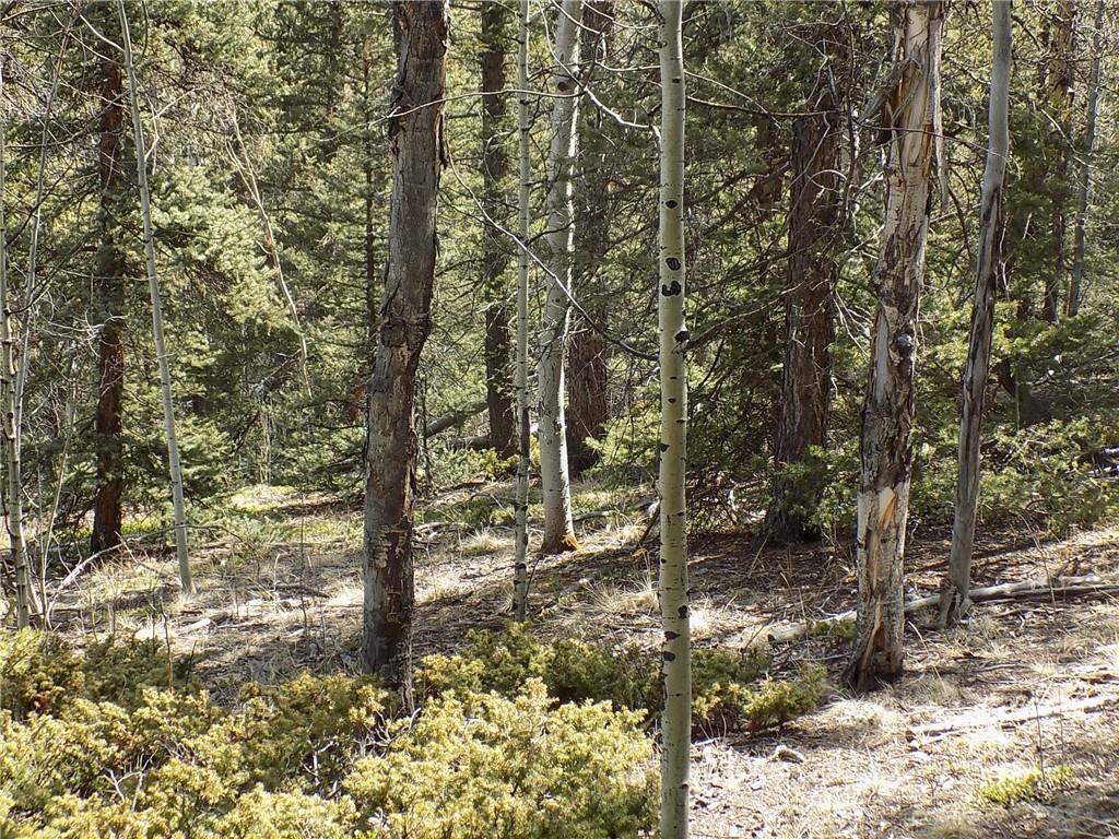 50 Nez Perce Road Como, CO 80456 - Photo 19 of 24 Gallery Image 19