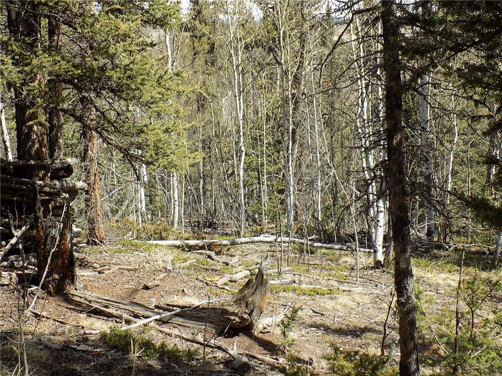 50 Nez Perce Road Como, CO 80456 - Photo 20 of 24 Gallery Image 20