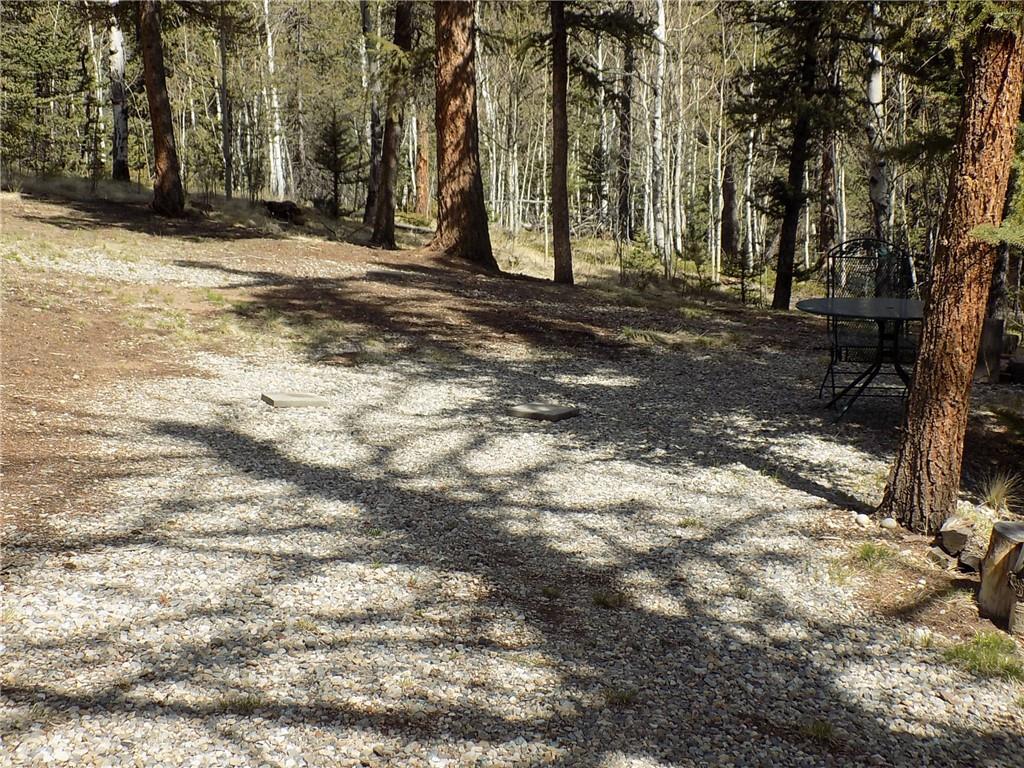 50 Nez Perce Road Como, CO 80456 - Photo 22 of 24 Gallery Image 22