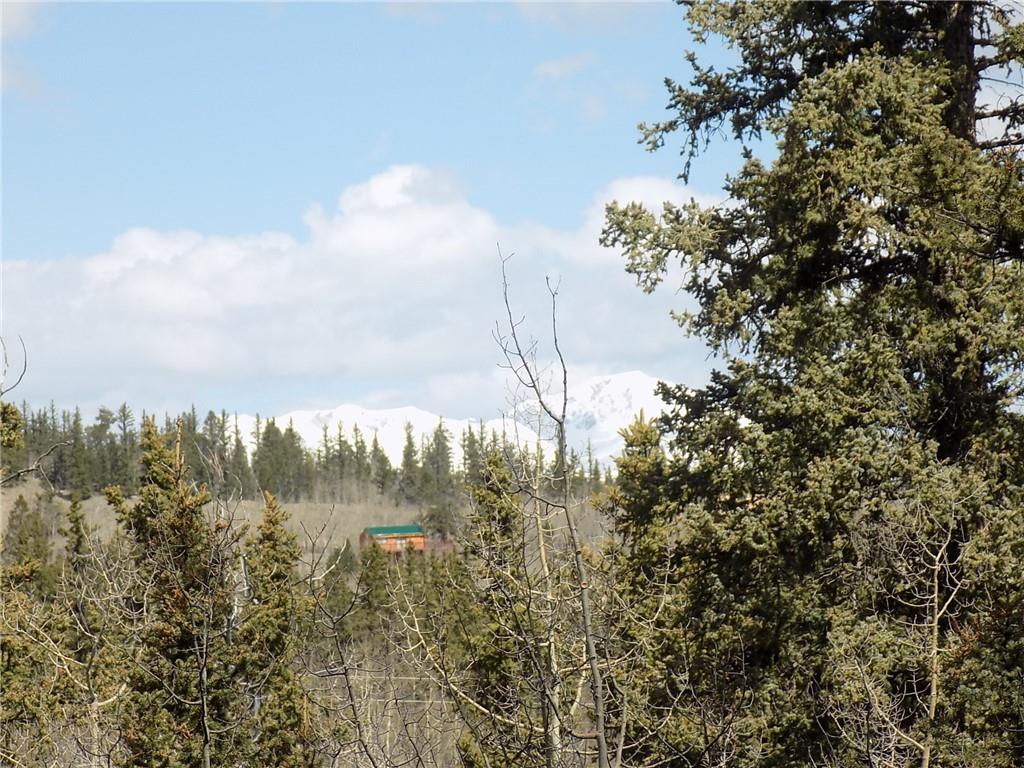 50 Nez Perce Road Como, CO 80456 - Photo 4 of 24 Gallery Image 4