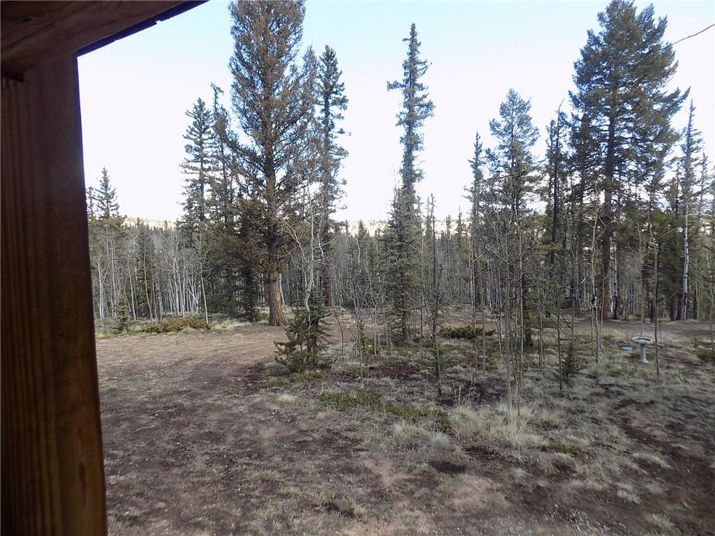 50 Nez Perce Road Como, CO 80456 - Photo 7 of 24 Gallery Image 7