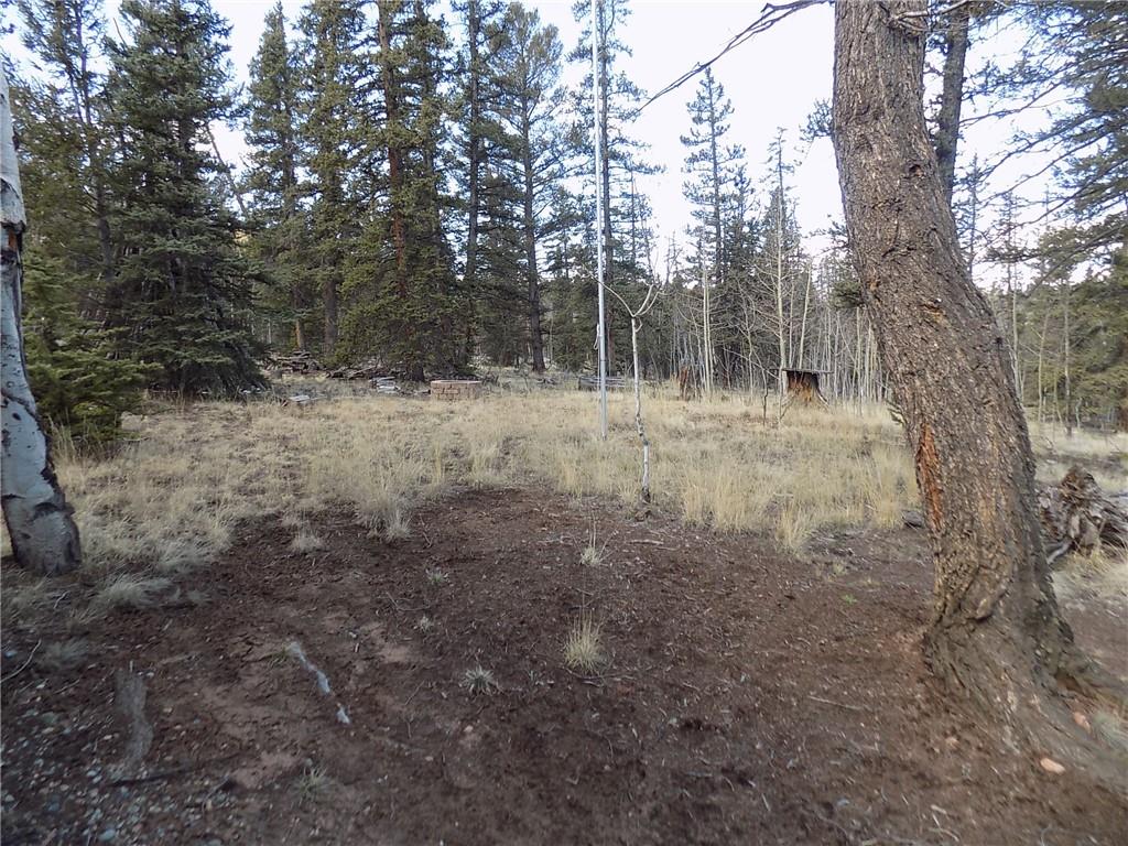 50 Nez Perce Road Como, CO 80456 - Photo 8 of 24 Gallery Image 8