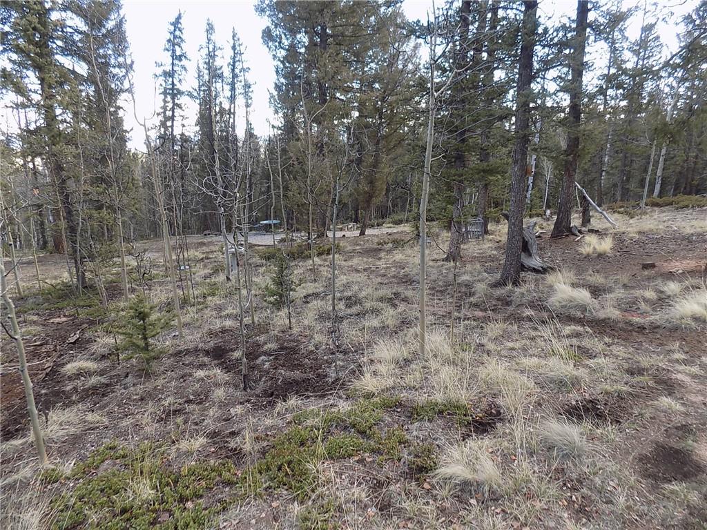 50 Nez Perce Road Como, CO 80456 - Photo 9 of 24 Gallery Image 9