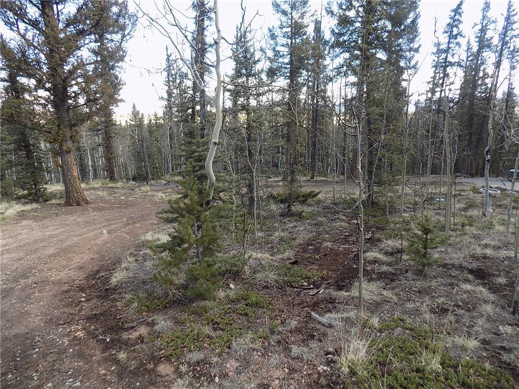 50 Nez Perce Road Como, CO 80456 - Photo 10 of 24 Gallery Image 10