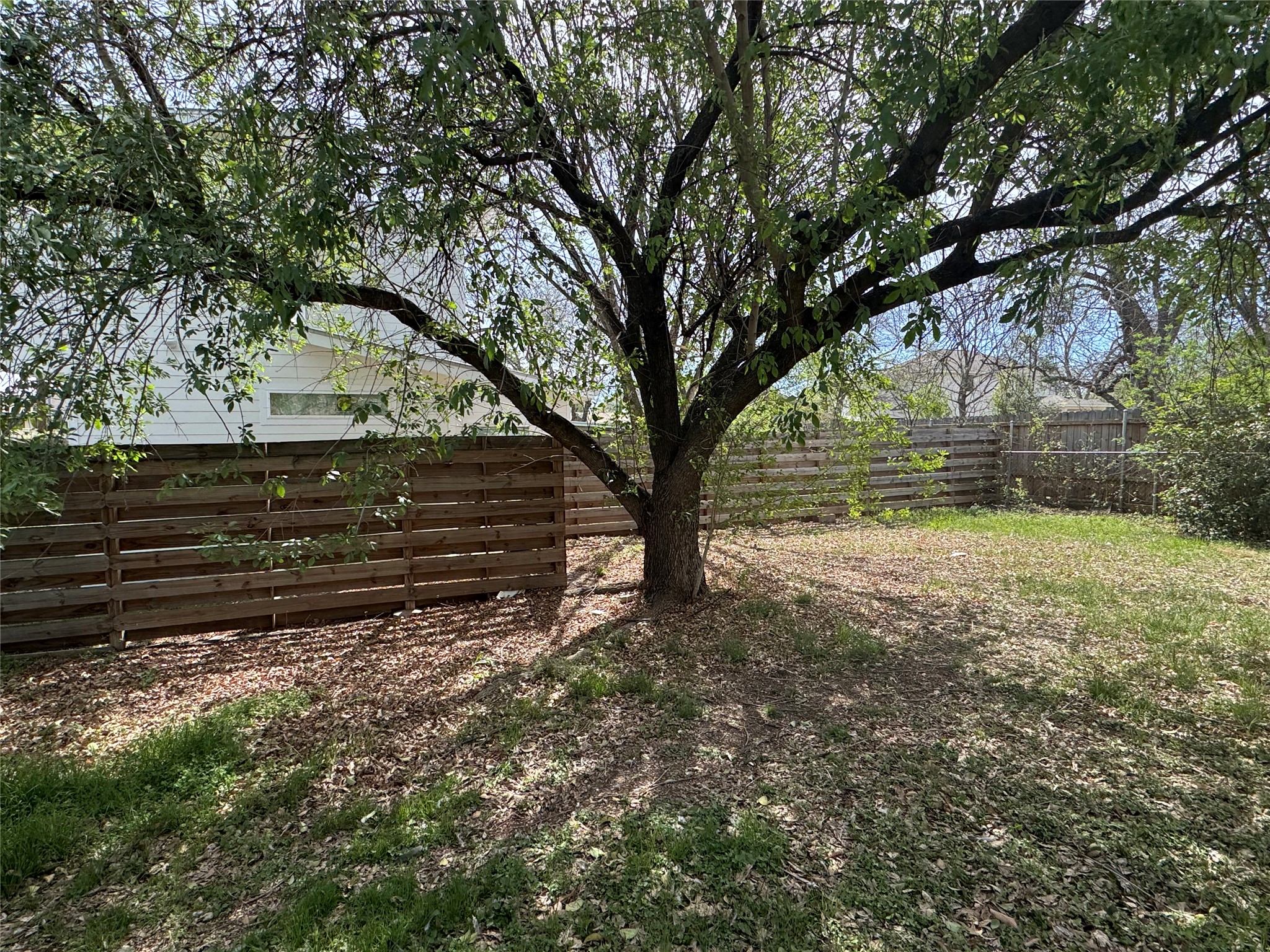 8017 Tisdale Drive Austin, TX 78757 - Photo 7 of 7 a view of yard with wooden fence