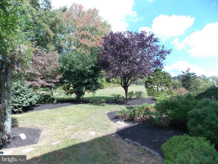 5371 North Branch Road Doylestown, PA 18902 - Photo 3 of 21 Gallery Image 3