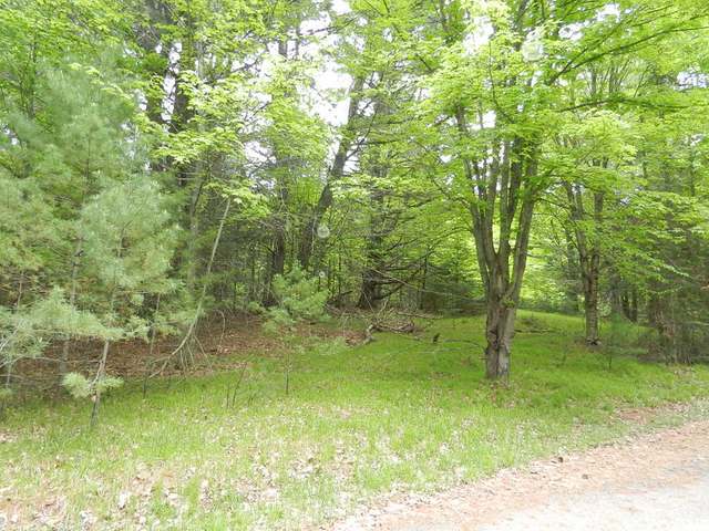 573 Bollom Road Three Lakes, WI 54562 - Photo 10 of 10 Gallery Image 10