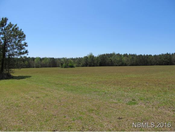 656 Taylor Neck Road Arapahoe, NC 28510 - Photo 11 of 13 Adjoining Pasture