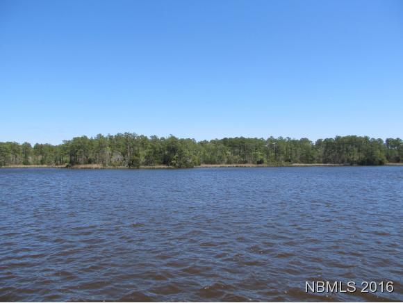 656 Taylor Neck Road Arapahoe, NC 28510 - Photo 3 of 13 Dawson Creek