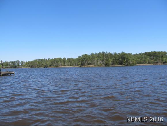 656 Taylor Neck Road Arapahoe, NC 28510 - Photo 6 of 13 Dawson Creek