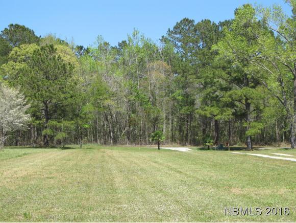 656 Taylor Neck Road Arapahoe, NC 28510 - Photo 10 of 13 Access to Lot