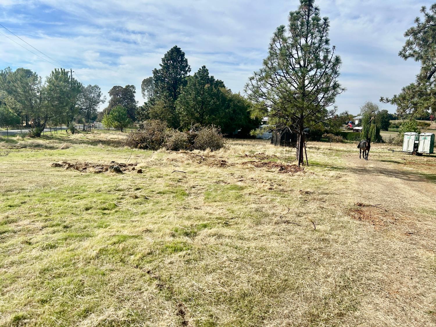 0 Mission Olive Road Oroville, CA 95966 - Photo 2 of 12 a view of a yard with trees
