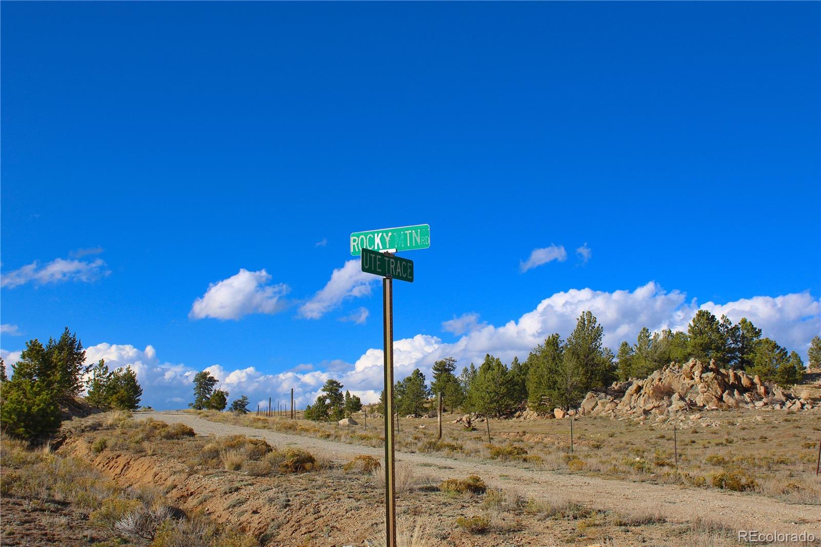 893 Rocky Mountain Road Hartsel, CO 80449 - Photo 19 of 31 a lamp that is sitting in the middle of a field