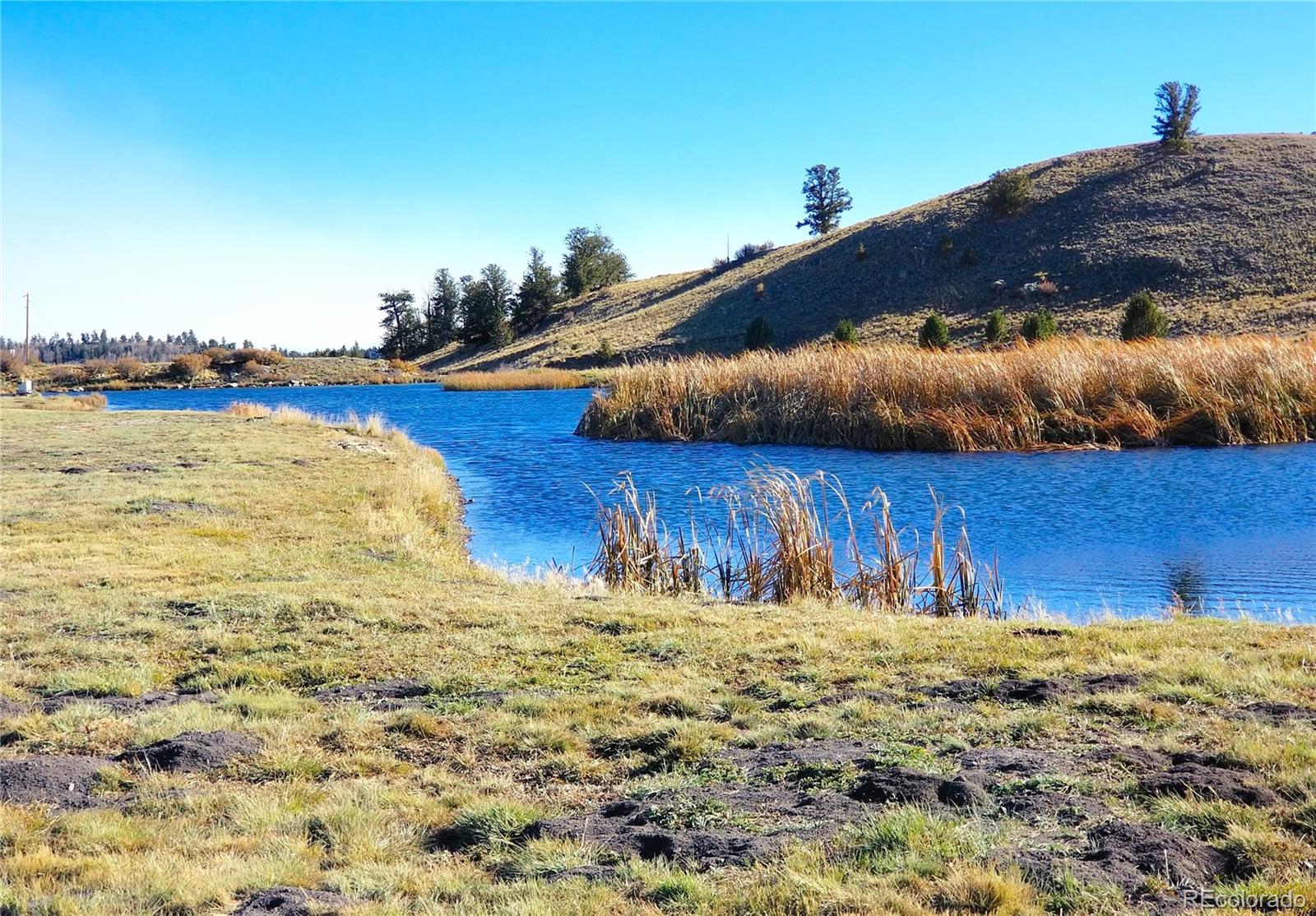 893 Rocky Mountain Road Hartsel, CO 80449 - Photo 22 of 31 a view of a backyard of the house
