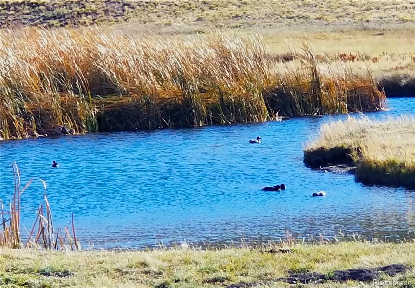 893 Rocky Mountain Road Hartsel, CO 80449 - Photo 23 of 31