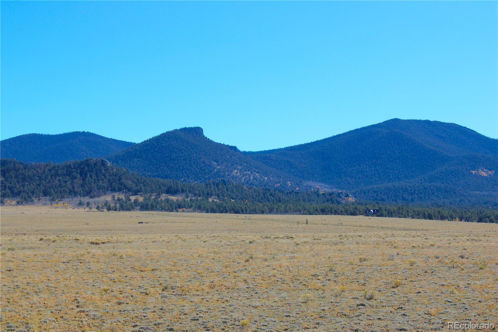 893 Rocky Mountain Road Hartsel, CO 80449 - Photo 9 of 31 a view of patio and a yard