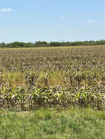 $1,981,700 | 15489 County Road 1726, Odem, TX 78370