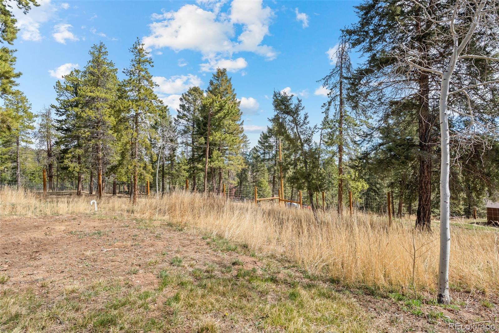 12159 Circle Drive Conifer, CO 80433 - Photo 40 of 49 a view of river covered with trees
